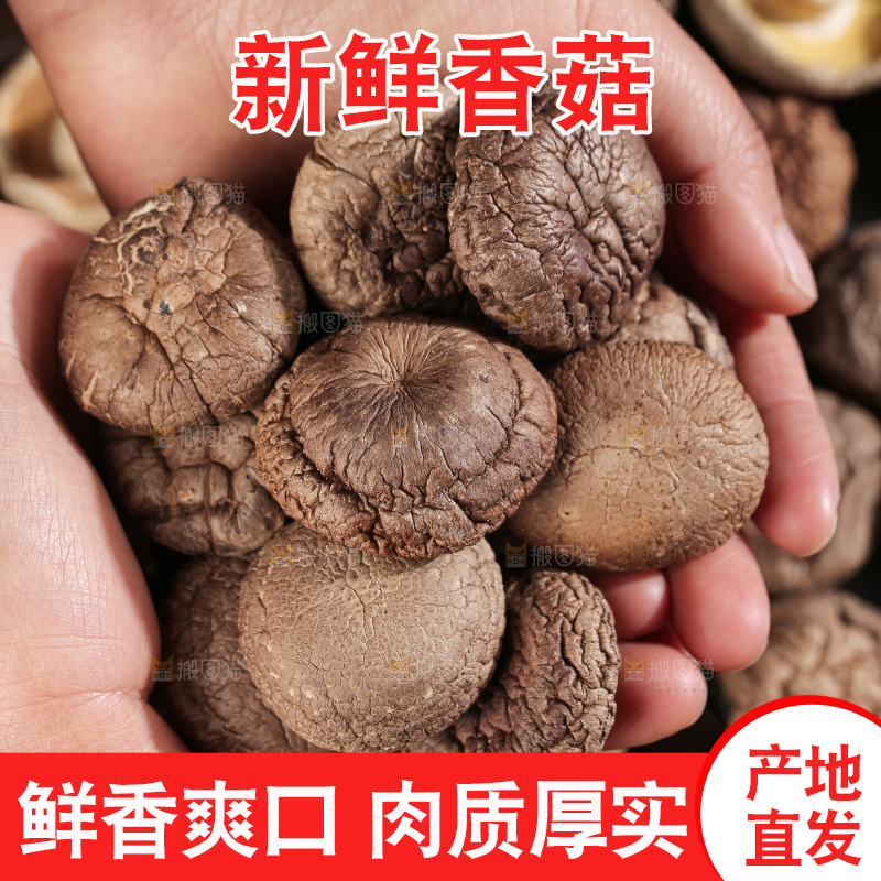 深底上的香菇