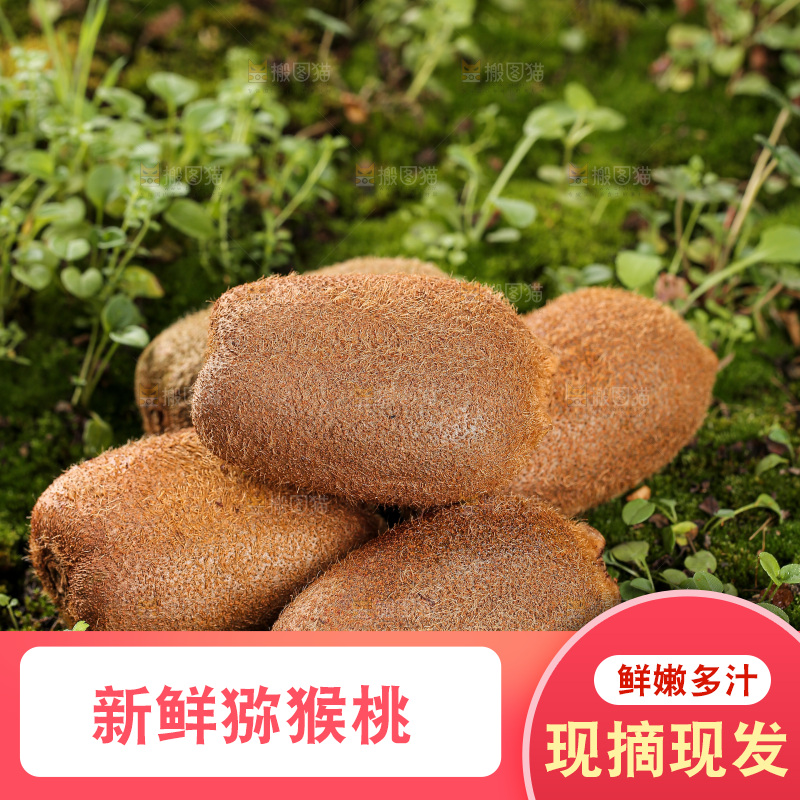 深底上的猕猴桃