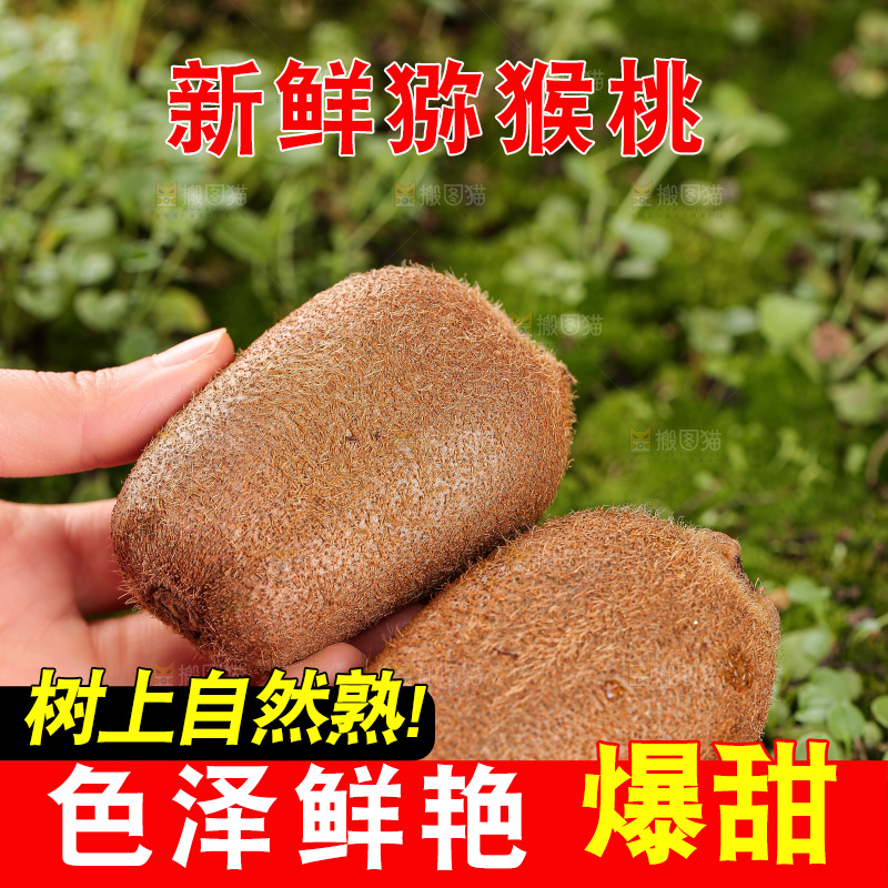 深底上的猕猴桃