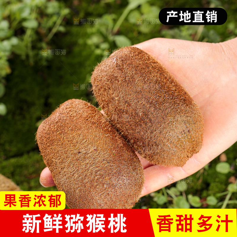 深底上的猕猴桃