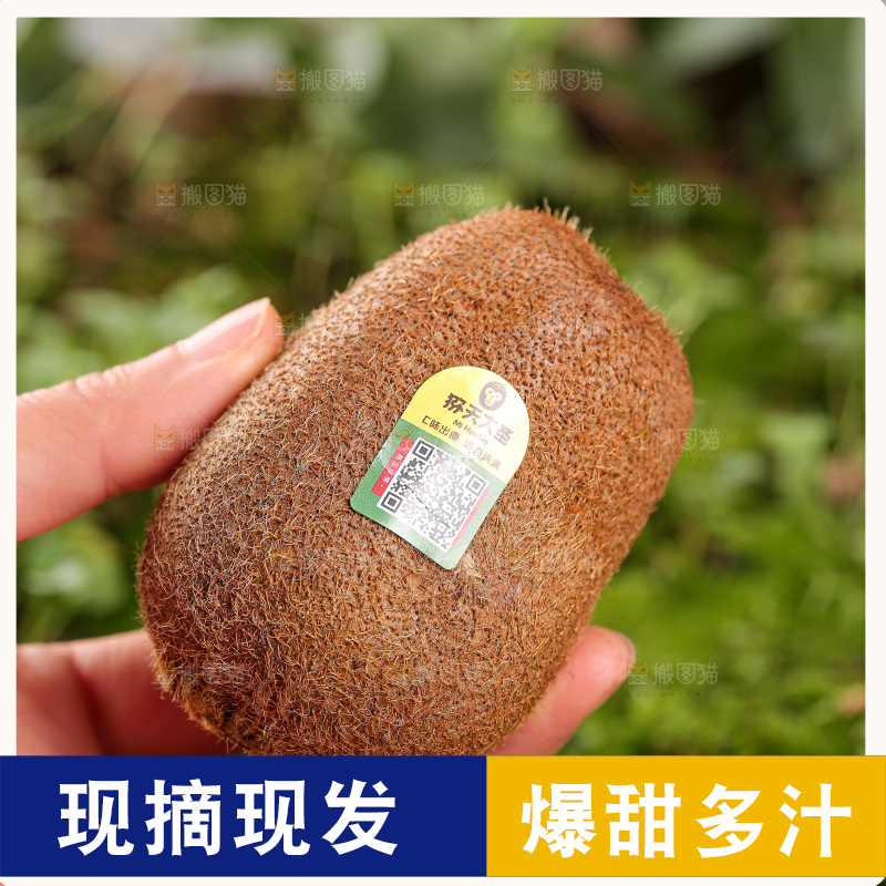 深底上的猕猴桃