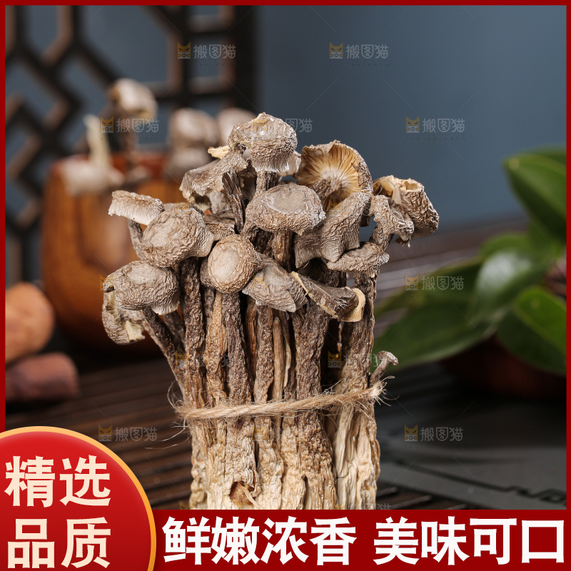 深底上鹿茸菇