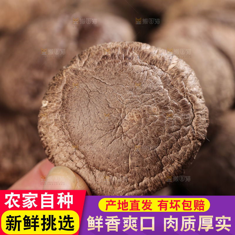 深底上的香菇