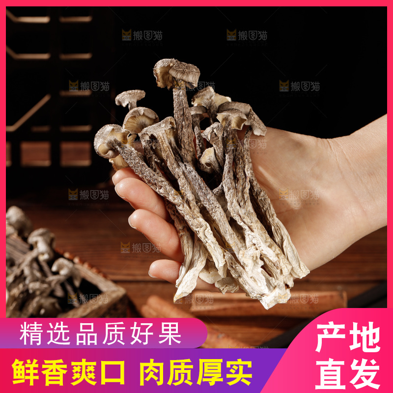 深色底上鹿茸菇