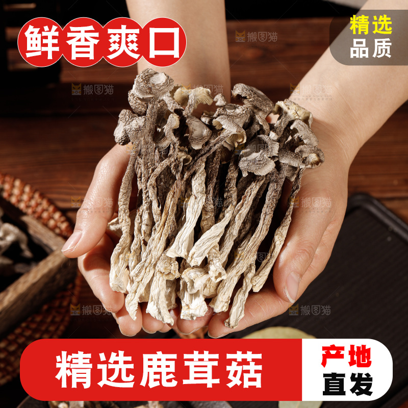 深色底上鹿茸菇