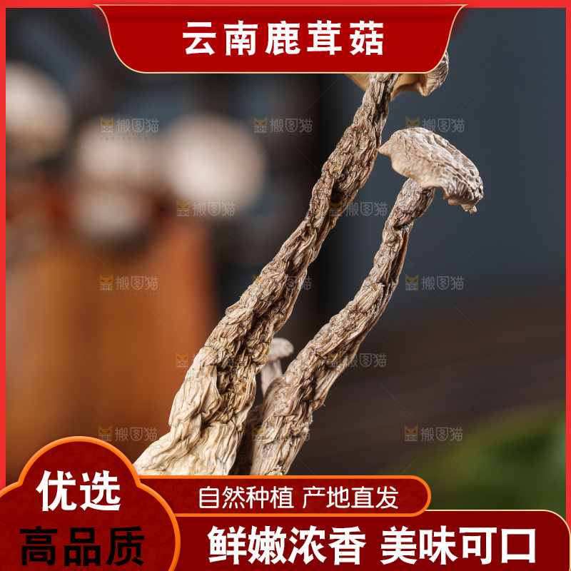 深底上鹿茸菇
