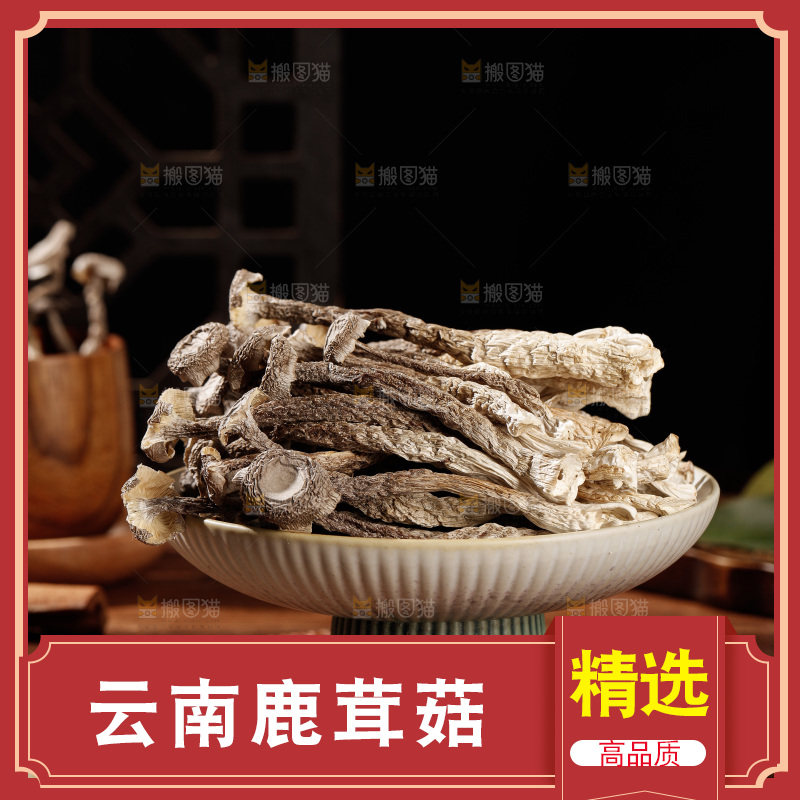 深色底上鹿茸菇