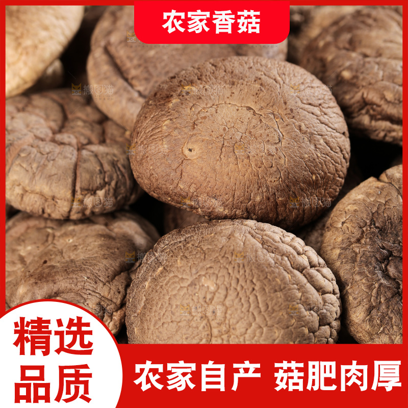 深底上的香菇