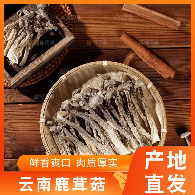 深色底上鹿茸菇