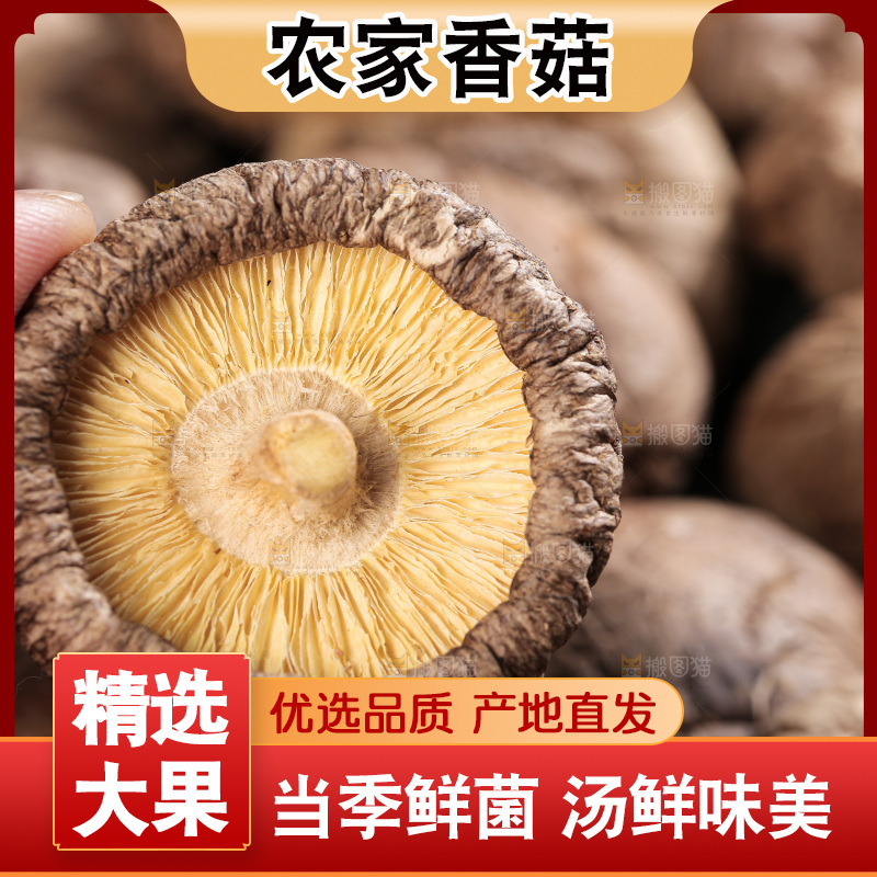 深底上的香菇