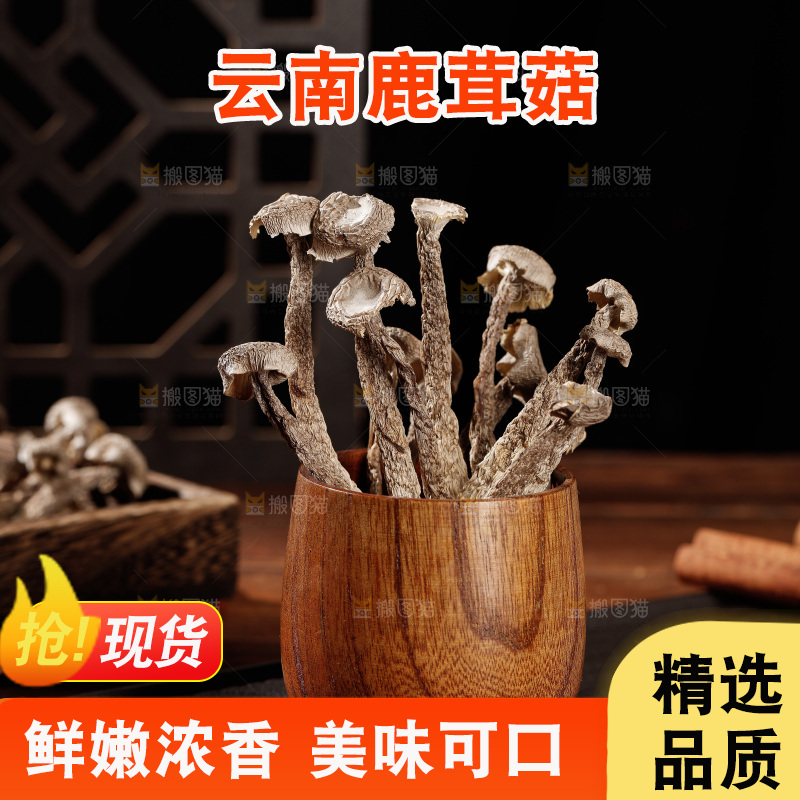 深色底上鹿茸菇