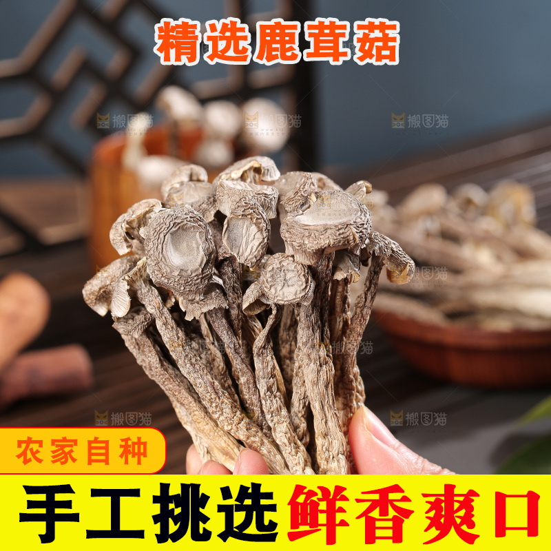 深底上鹿茸菇