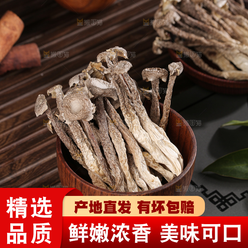 深底上鹿茸菇