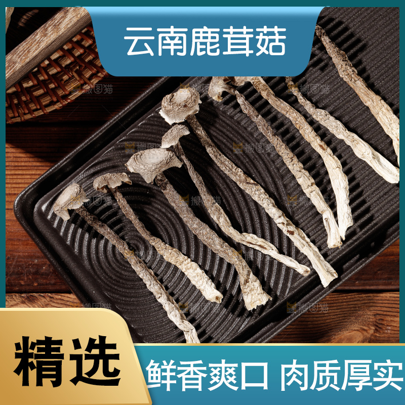 深色底上鹿茸菇