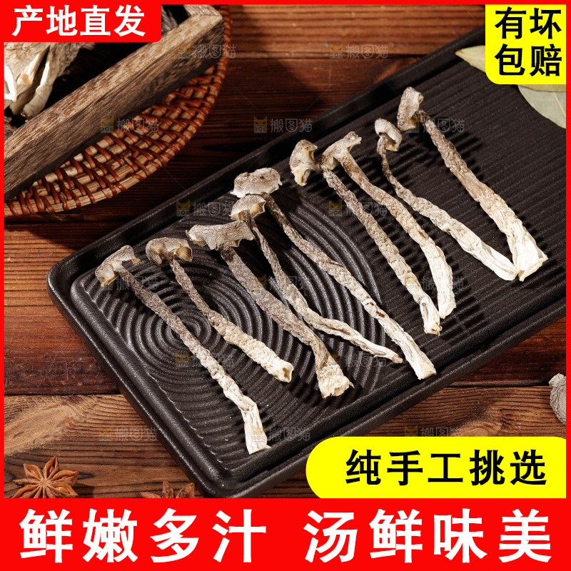 深色底上鹿茸菇