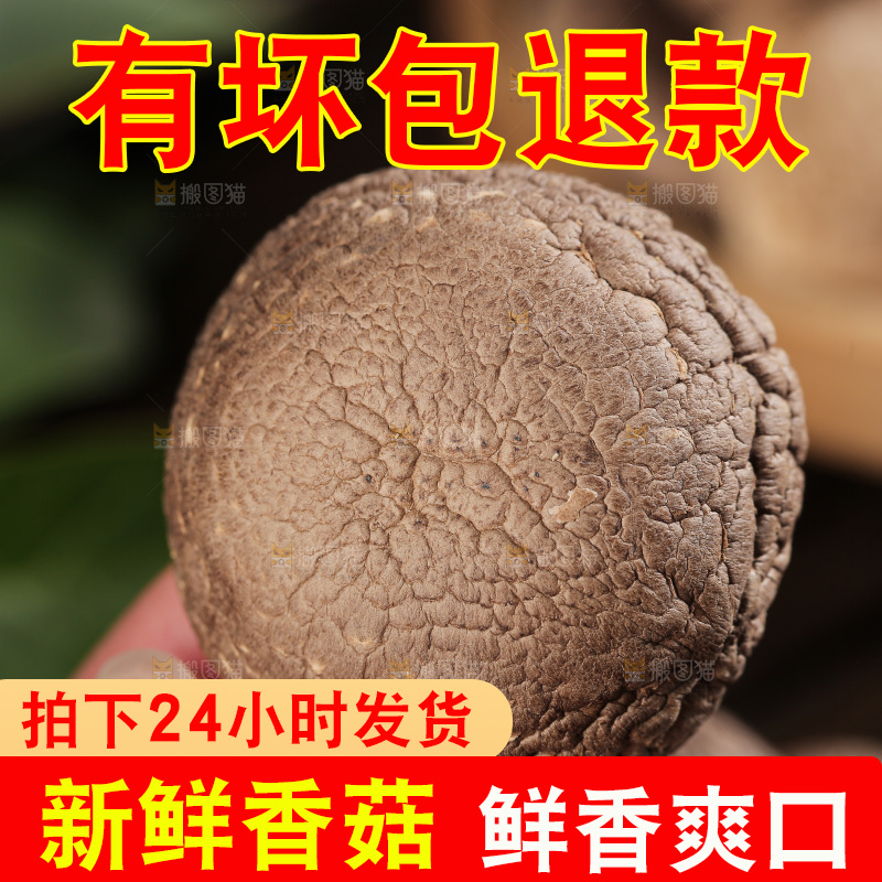 深底上的香菇