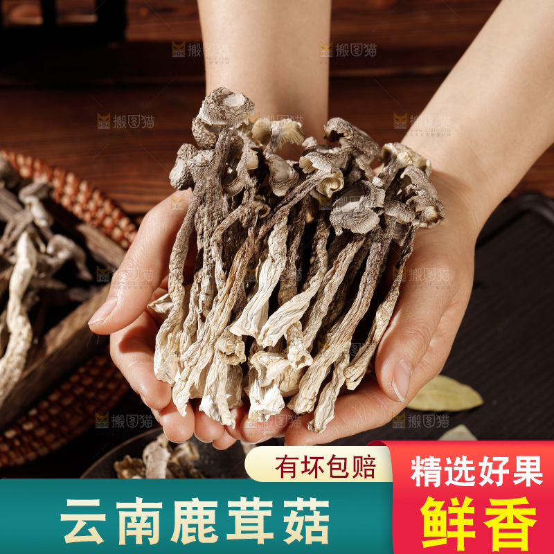 深色底上鹿茸菇