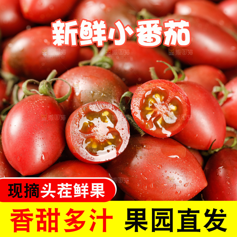 手里拿着混色小番茄