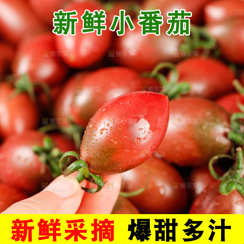 手里拿着混色小番茄