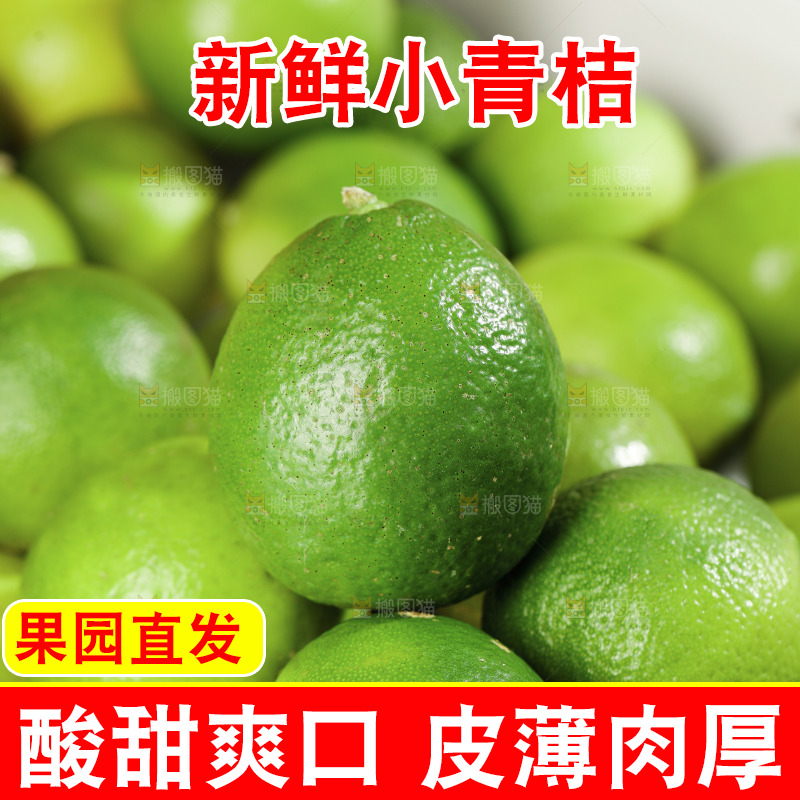 浅底上的小青桔