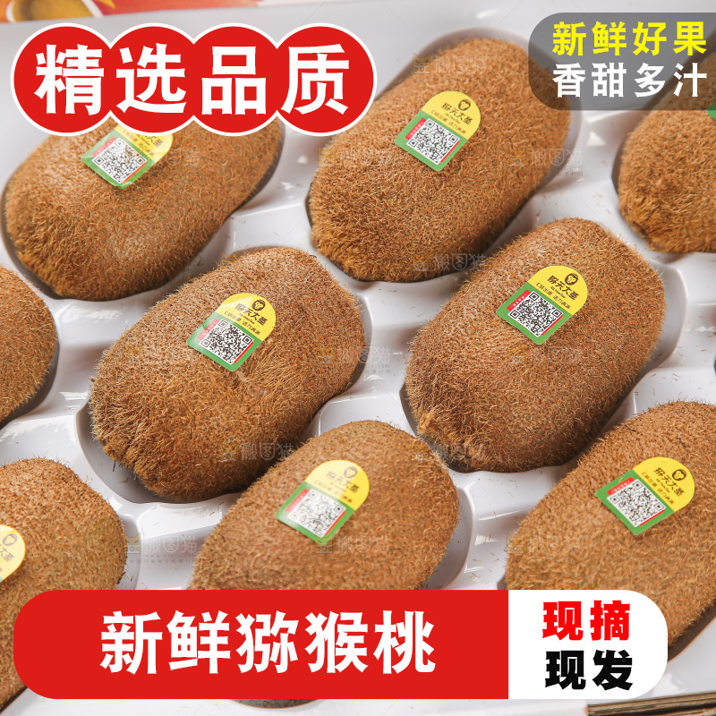 浅底上的猕猴桃