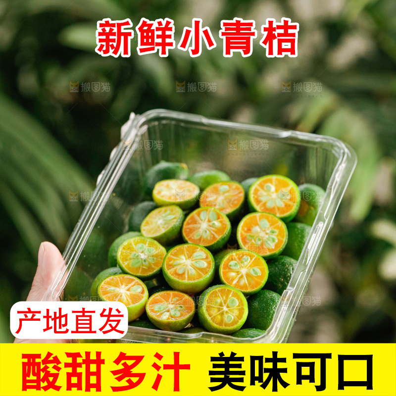 浅底上的小青桔