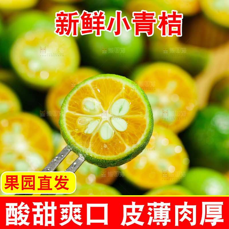 浅底上的小青桔