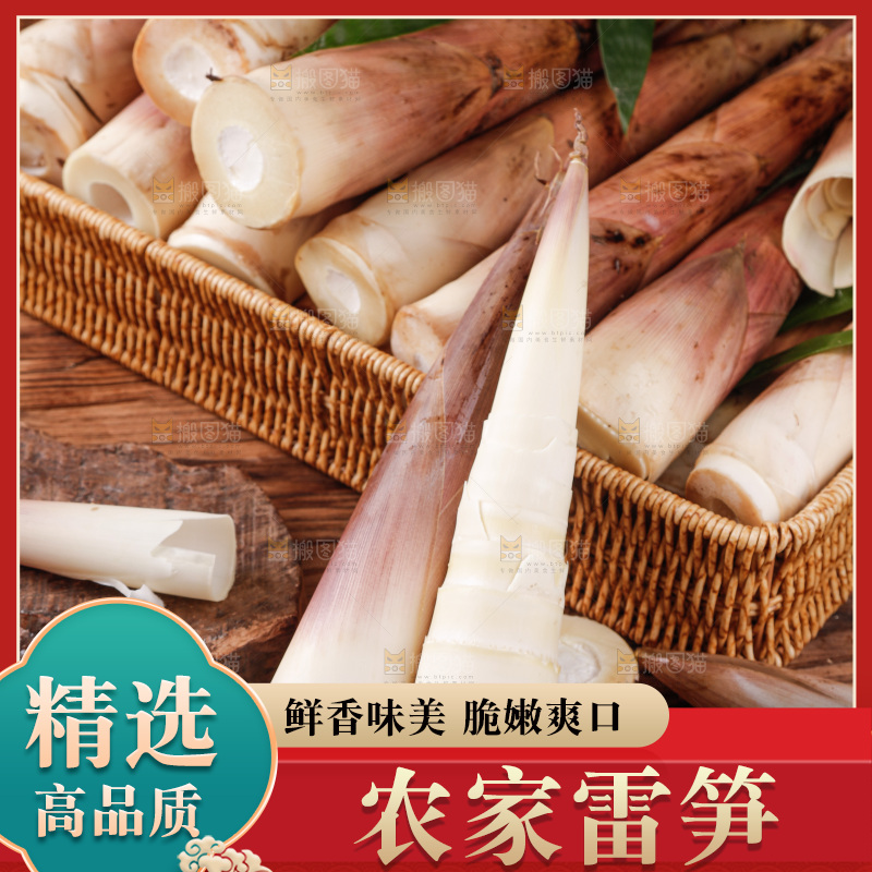 深底上的雷笋