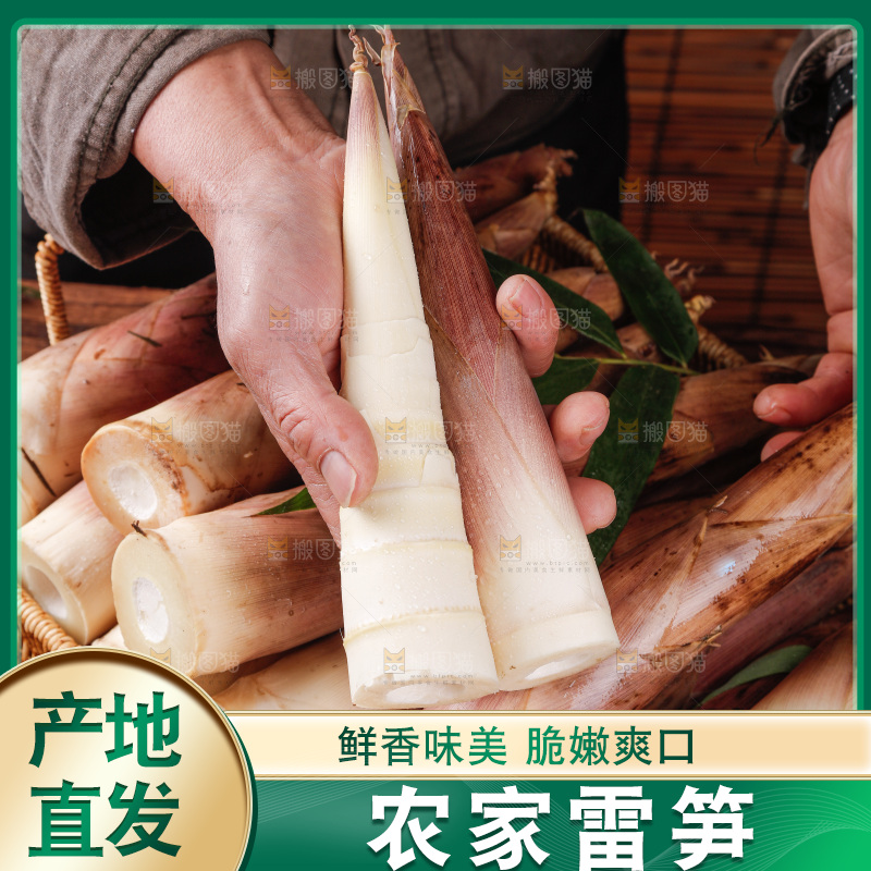 深底上的雷笋