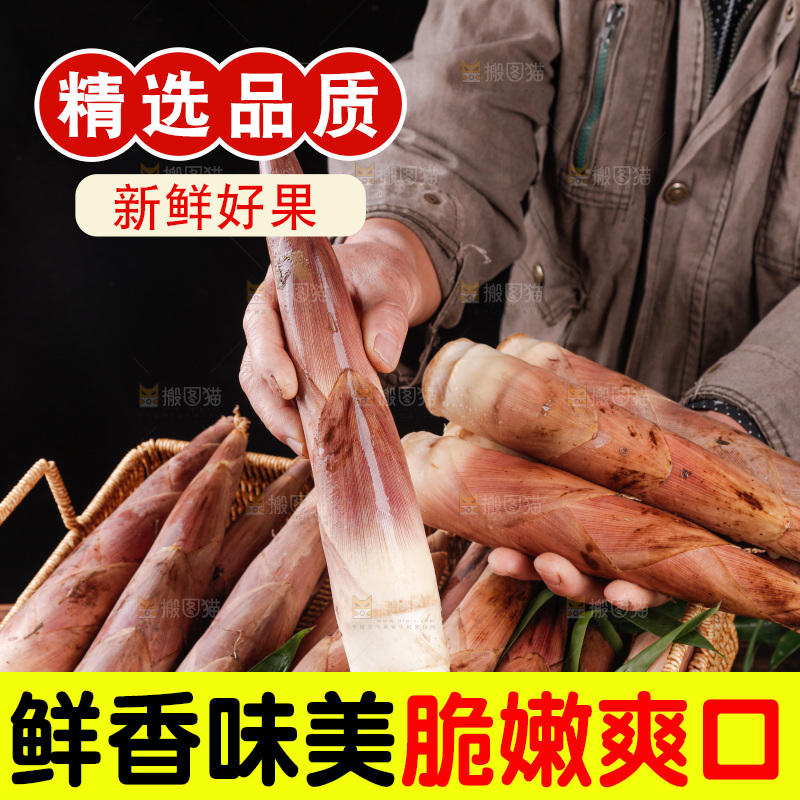 深底上的雷笋