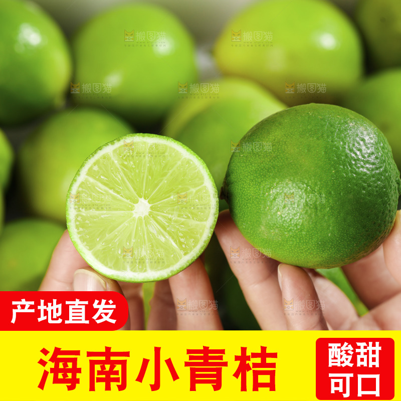 浅底上的小青桔
