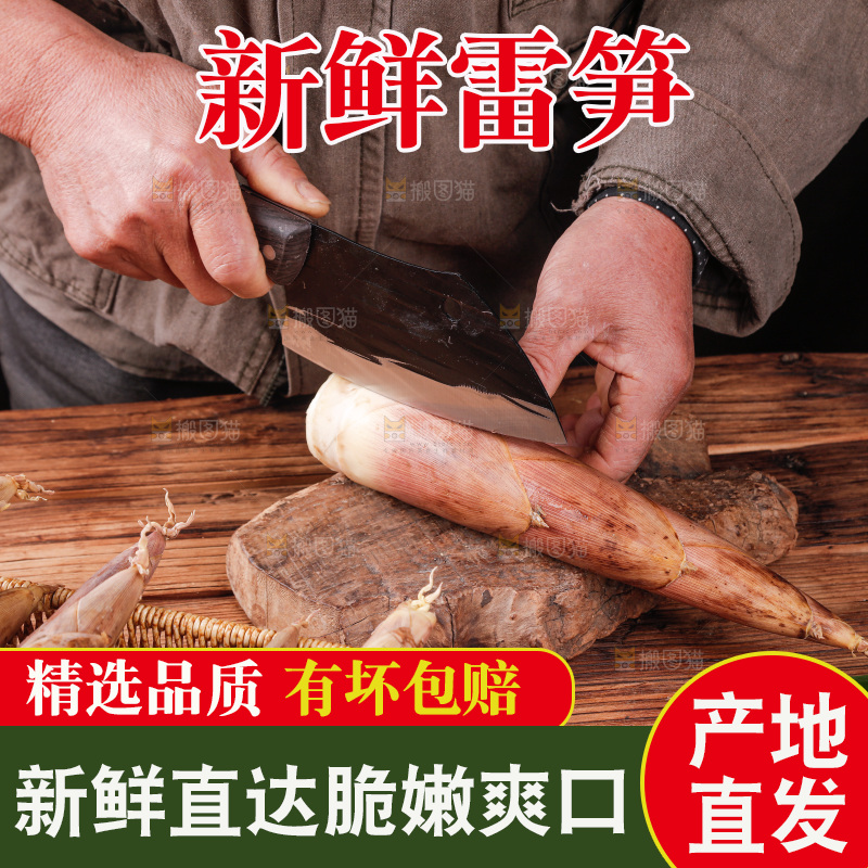 深底上的雷笋