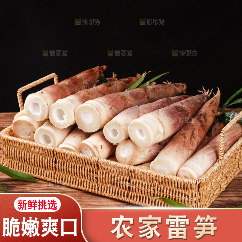 深底上的雷笋