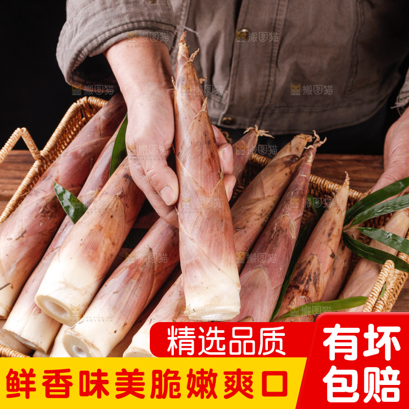 深底上的雷笋