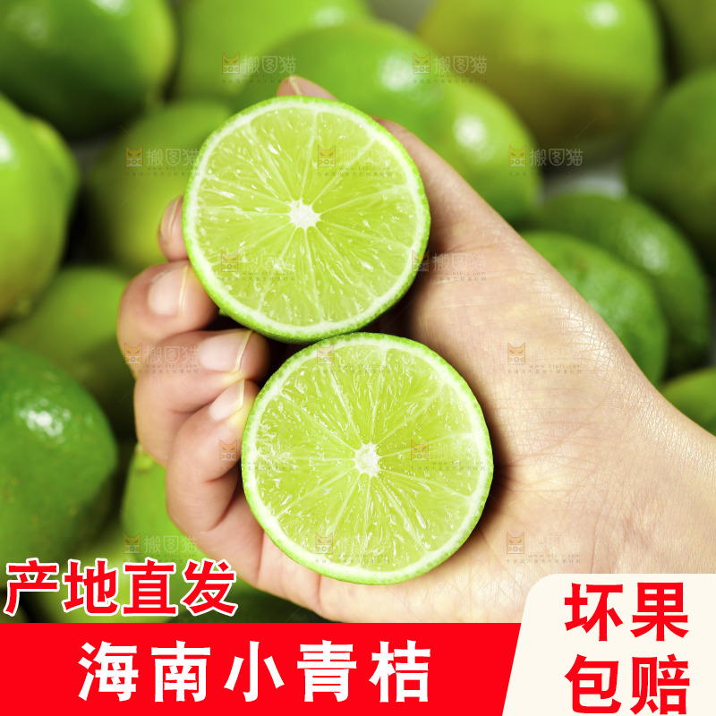 浅底上的小青桔