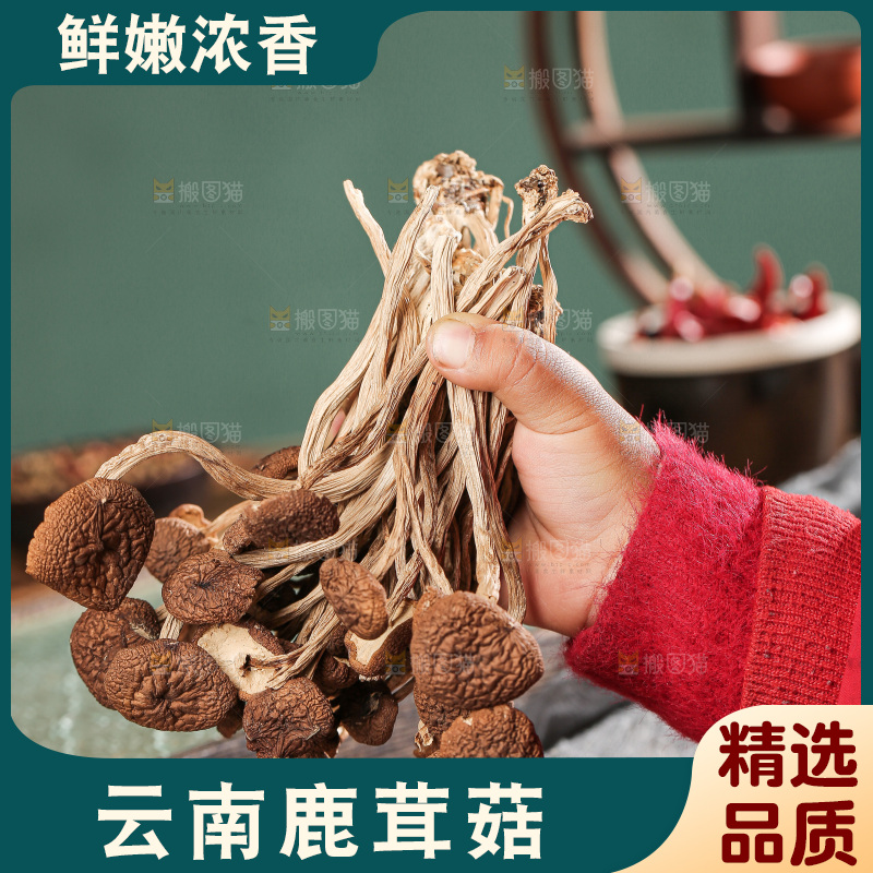 深底上的鹿茸菌
