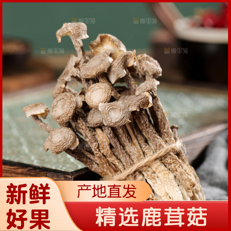 深底上的鹿茸菌