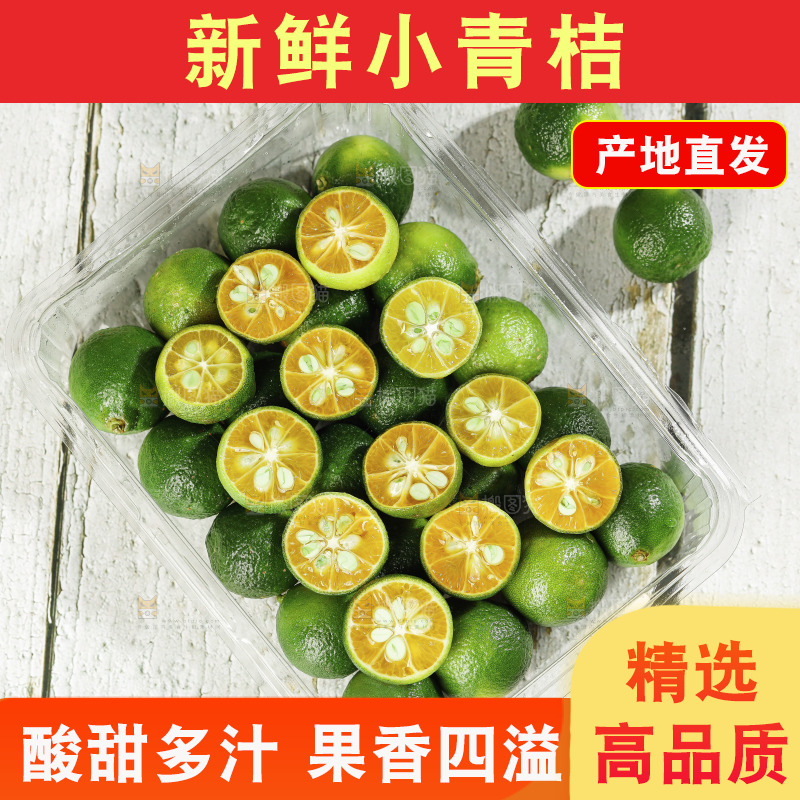 浅底上的小青桔