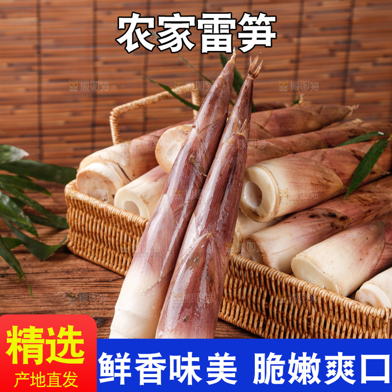 深底上的雷笋