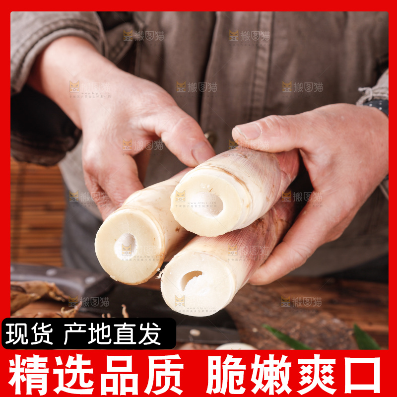 深底上的雷笋