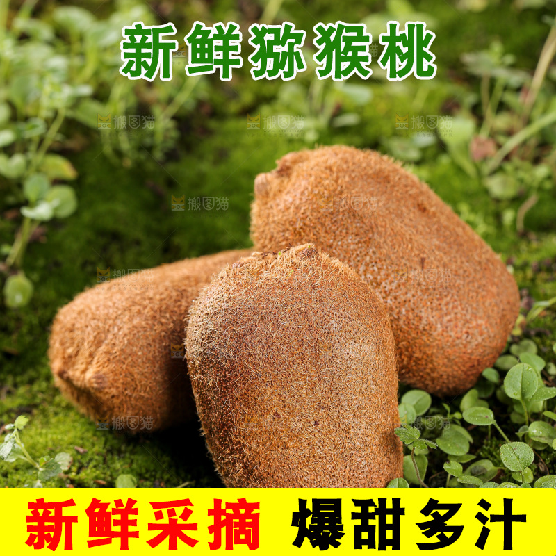 深底上的猕猴桃
