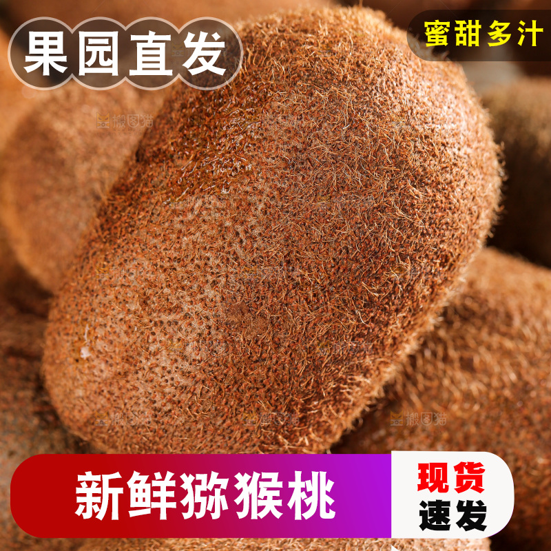 深底上的猕猴桃