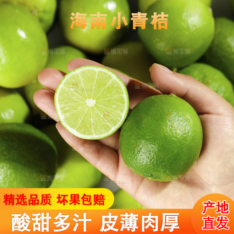 浅底上的小青桔