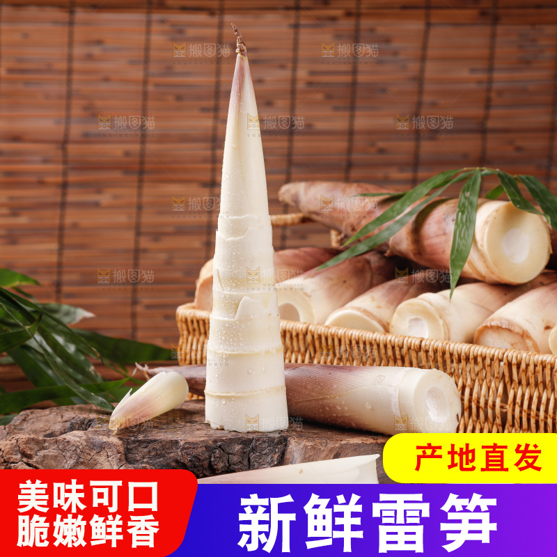深底上的雷笋