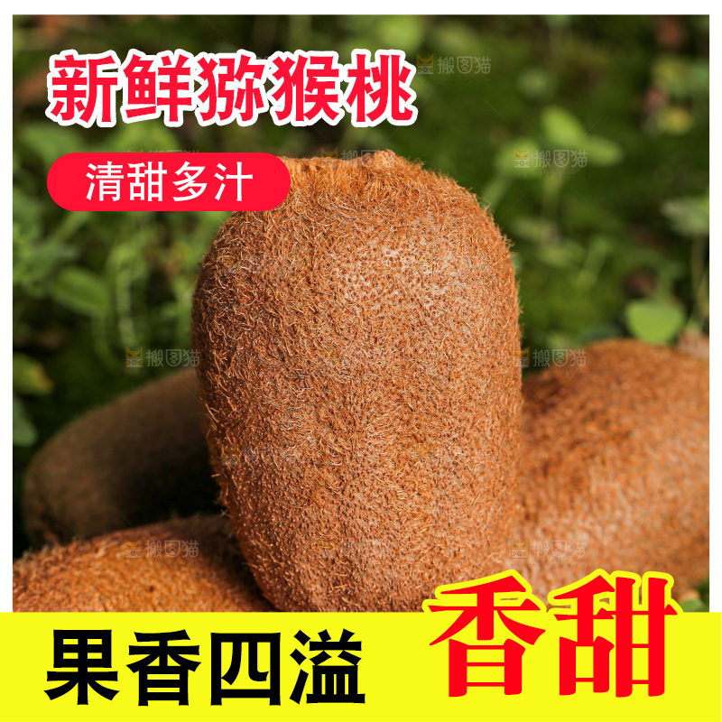 深底上的猕猴桃