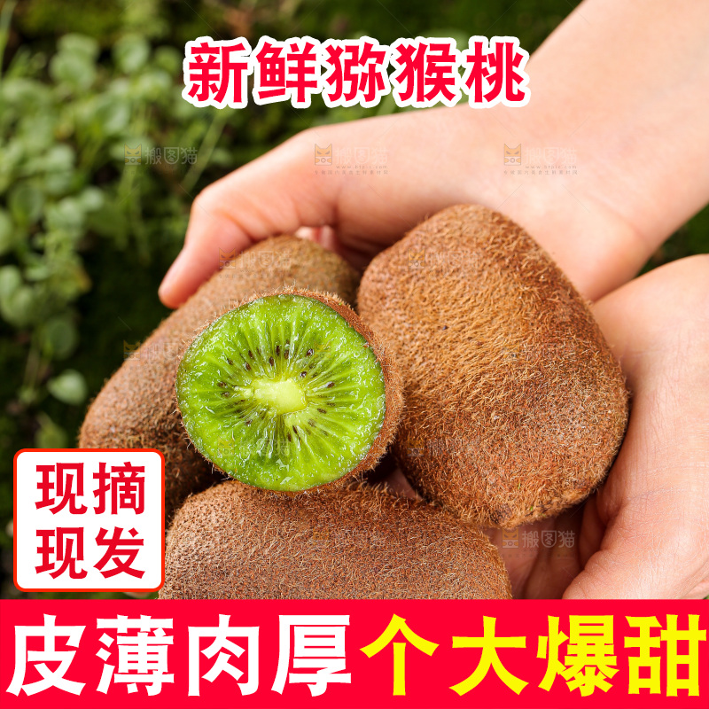 深底上的猕猴桃