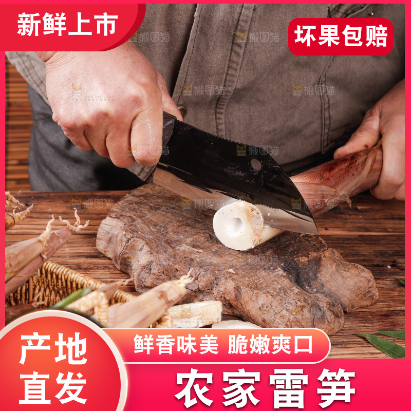 深底上的雷笋