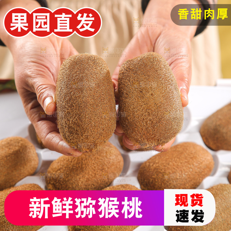 浅底上的猕猴桃