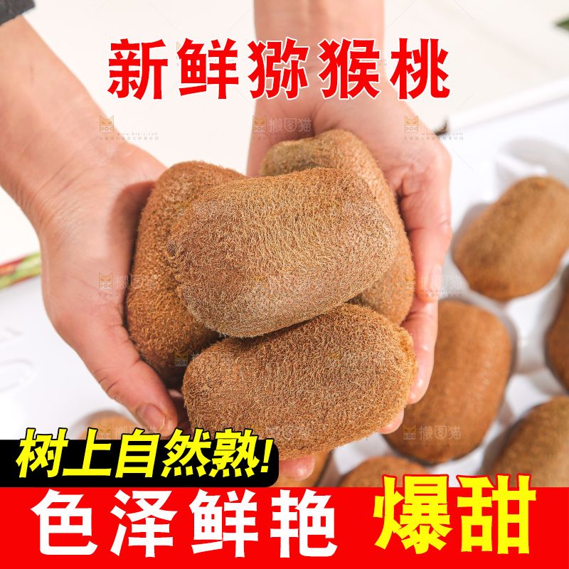 浅底上的猕猴桃