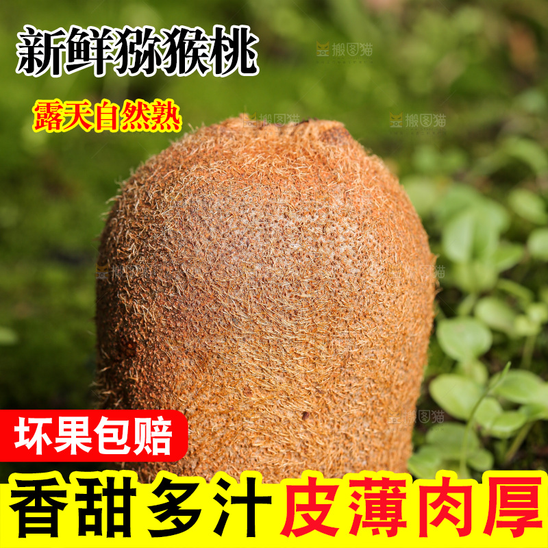 深底上的猕猴桃